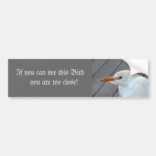 If You Can See this Bird You are Too Close Bumper Sticker