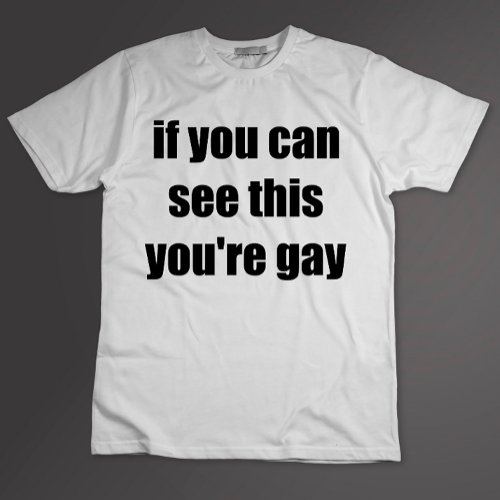 If You Can See This Youre Gay Sarcastic Gays T_Shirt