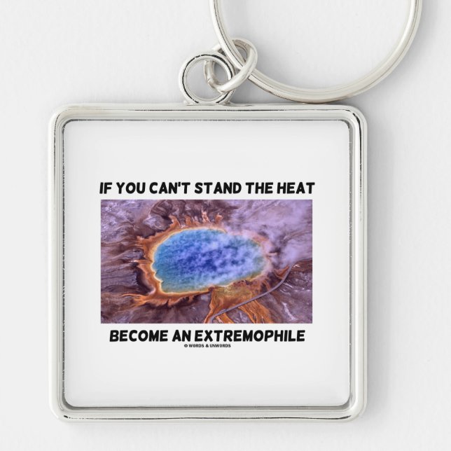 If You Can't Stand The Heat Become An Extremophile Keychain (Front)