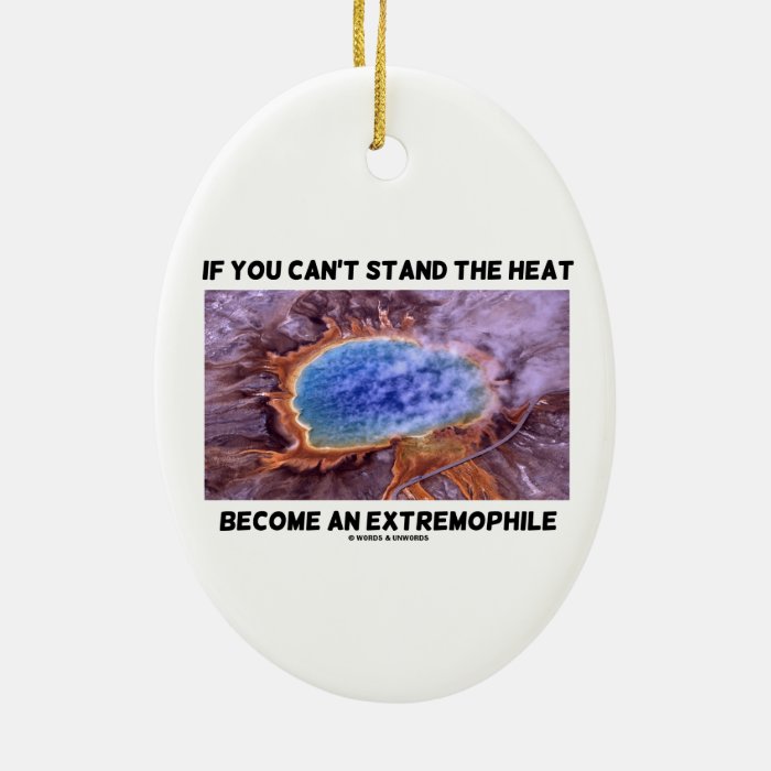 If You Can't Stand The Heat Become An Extremophile Ornaments