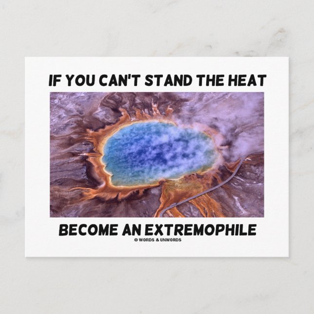 If You Can't Stand The Heat Become An Extremophile Postcard (Front)