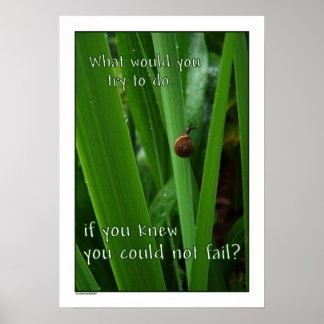 If You Couldn't Fail Poster print