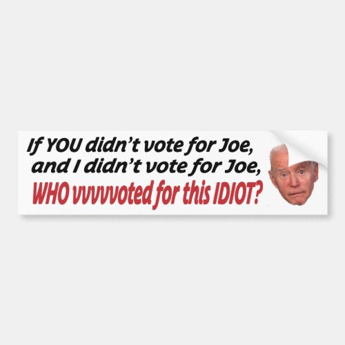 If you didnt vote for Joe and I didnt vote for J Bumper Sticker