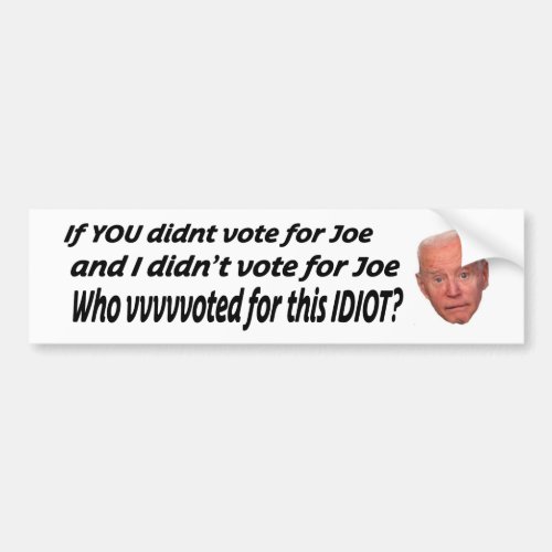 If you didnt vote for Joe and I didnt vote for J Bumper Sticker