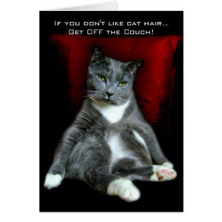 If you don't like cat hair.. Get OFF the Couch! Cards