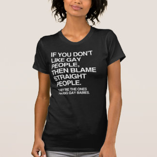 IF YOU DON'T LIKE GAY PEOPLE THEN BLAME STRAIGHT T T-Shirt