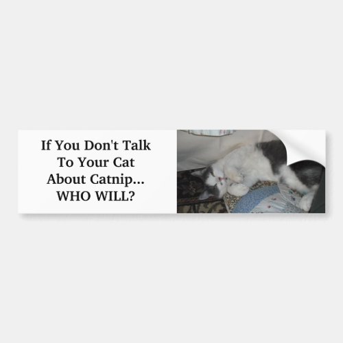 If You Dont Talk To Your Cat Abo Bumper Sticker