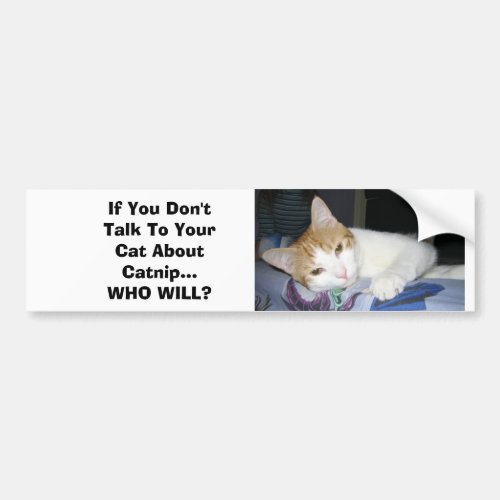 If You Dont Talk To Your Cat About Catnip Bumper Sticker