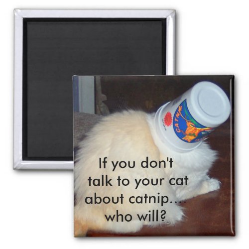If you dont talk to your cat about catnipwho w magnet