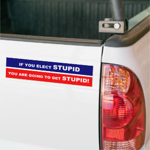 If you elect stupid you are going to get stupid bumper sticker