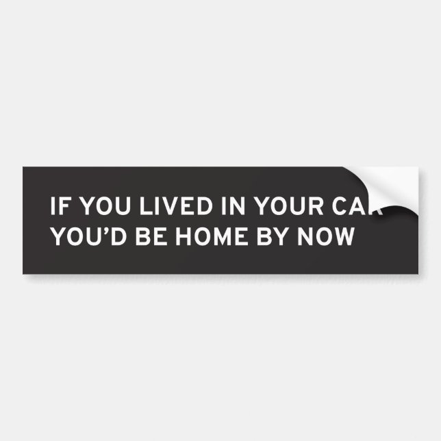 If You Lived in Your Car... Bumper Sticker (Front)