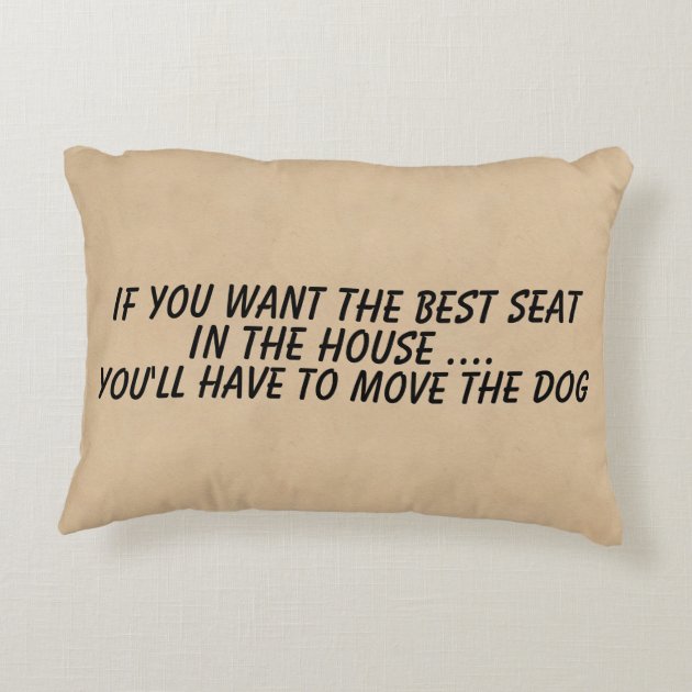 If you want the best seat deals in the house move the dog pillow
