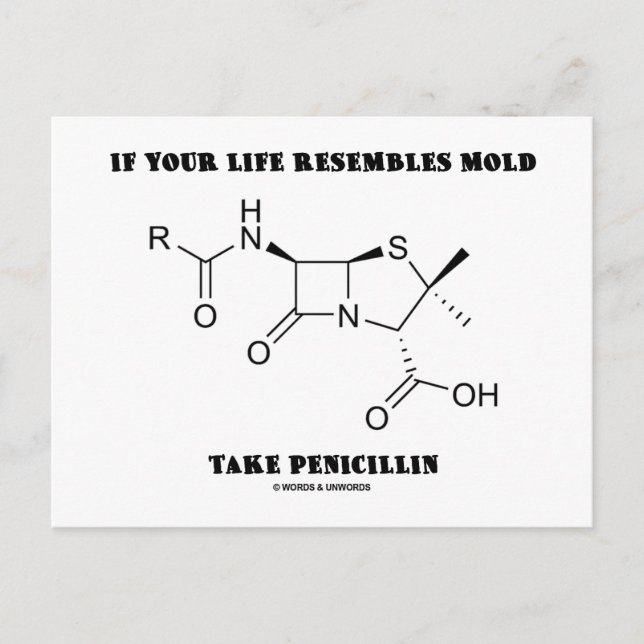 If Your Life Resembles Mold Take Penicillin Postcard (Front)