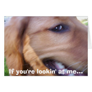 If you're lookin' at me...