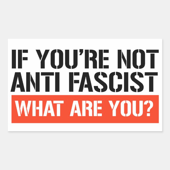 If you're not Anti Fascist what are you? Rectangular Sticker (Front)
