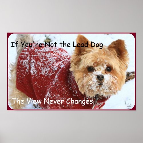 If Youre Not the Lead Dog _ Yorkie Style Poster