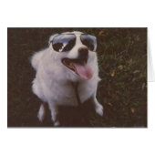 iggie by peacewillow (Front Horizontal)