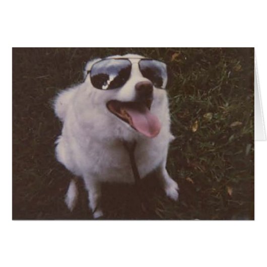 iggie by peacewillow (Front Horizontal)