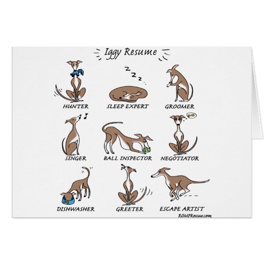 Iggy Rescue Cards (Front Horizontal)