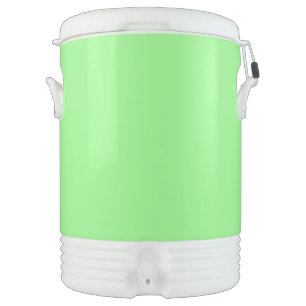 Igloo Cooler