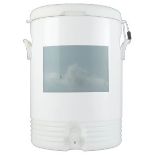 Igloo Half Gallon Beverage Cooler