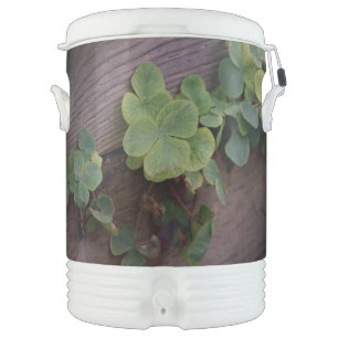 Igloo Half Gallon Beverage Cooler