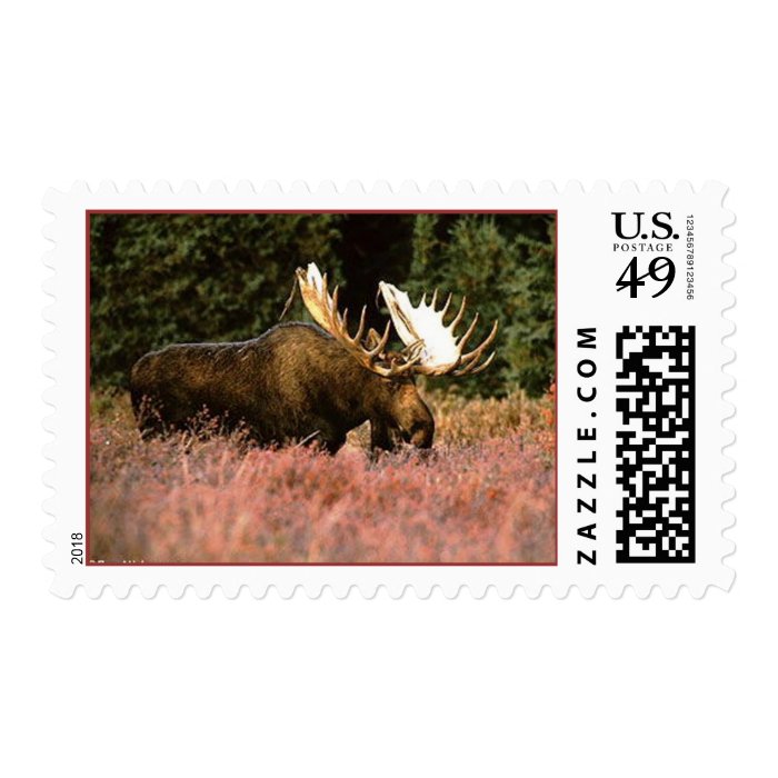 Igloo   Moose Postage Stamps