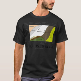 Igneous Is Bliss Geology Rock Geek Humor T-Shirt