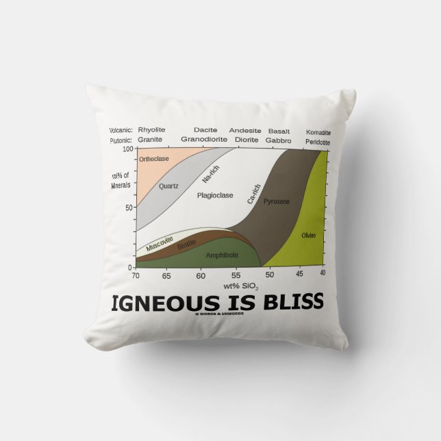 Igneous Is Bliss Silica Content Geology Humor Throw Pillow (Front)