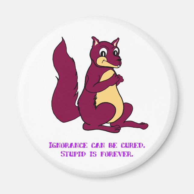 Ignorance can be cured. Stupid is forever. Magnet (Front)