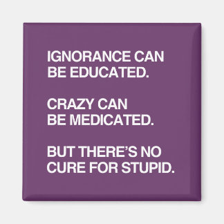 IGNORANCE CAN BE EDUCATED MAGNET