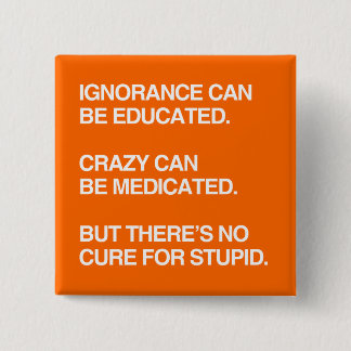 IGNORANCE CAN BE EDUCATED PINBACK BUTTON