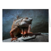 Iguana (Front Horizontal)