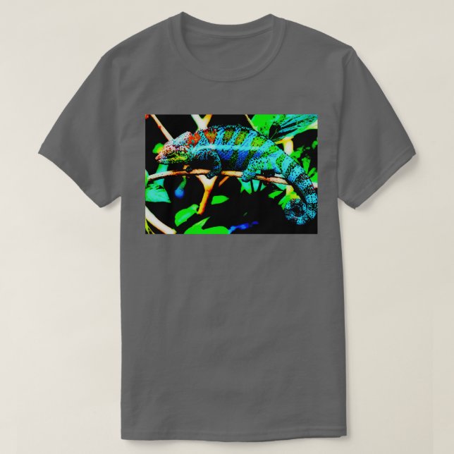Iguana 2 Triblend T-Shirt (Design Front)