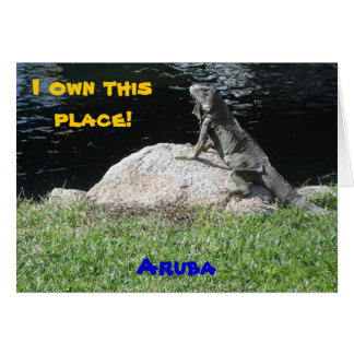 Iguana, Aruba Cards