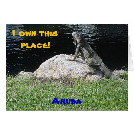 Iguana, Aruba Cards (Front Horizontal)