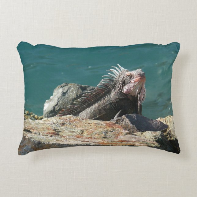 Iguana at St. Thomas Accent Pillow (Front)