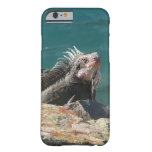 Iguana at St. Thomas Barely There iPhone 6 Case