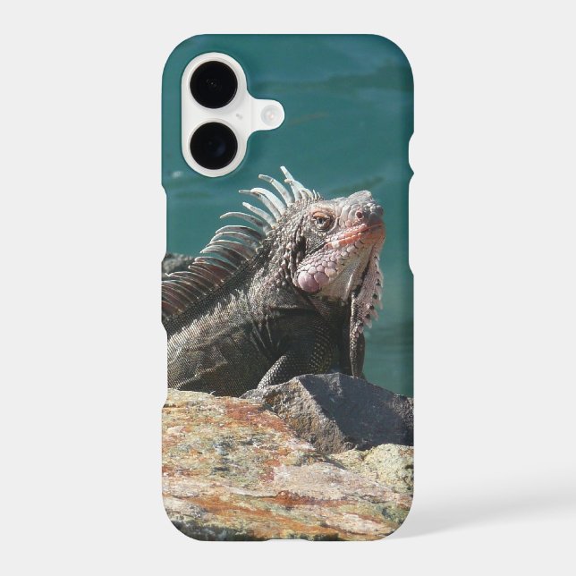 Iguana at St. Thomas Case-Mate iPhone Case (Back)
