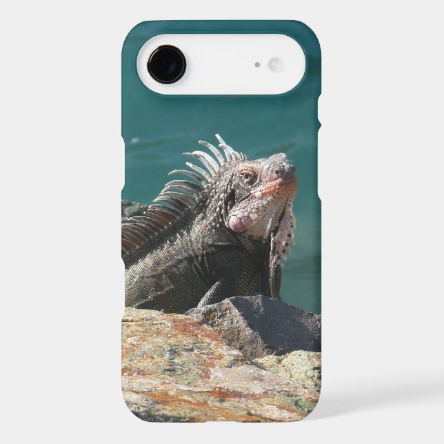 Iguana at St. Thomas Case-Mate iPhone Case (Back)
