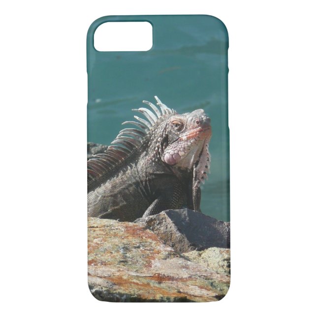 Iguana at St. Thomas Case-Mate iPhone Case (Back)