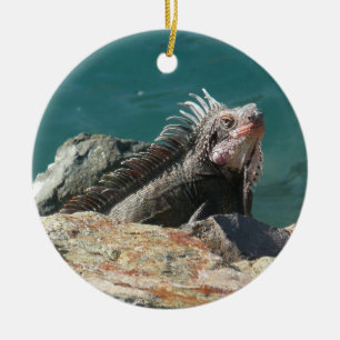 Iguana at St. Thomas Ceramic Ornament