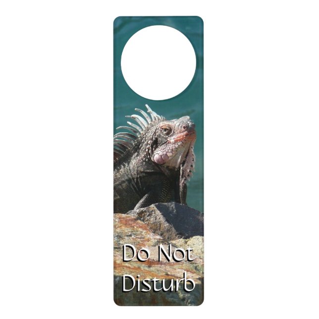 Iguana at St. Thomas Door Hanger (Front)
