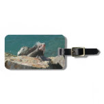 Iguana at St. Thomas Luggage Tag