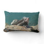 Iguana at St. Thomas Lumbar Pillow