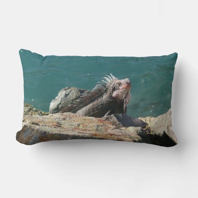 Iguana at St. Thomas Lumbar Pillow (Front)