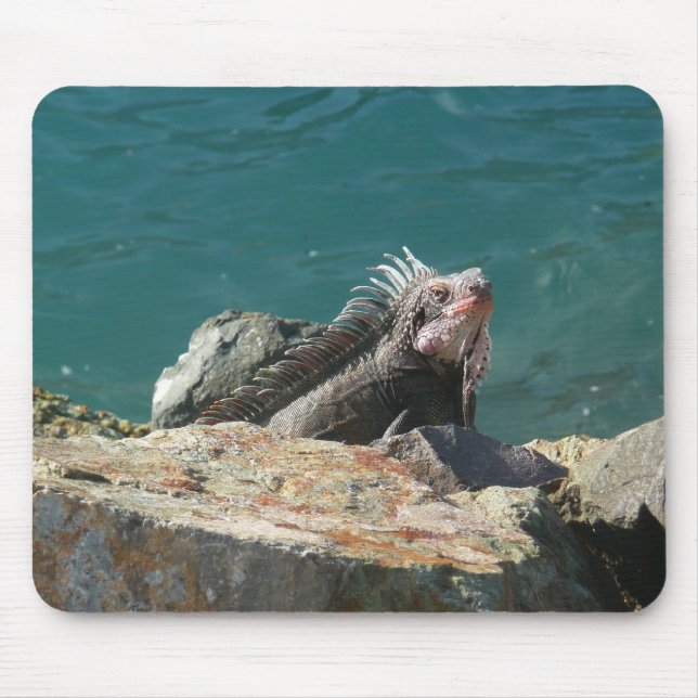 Iguana at St. Thomas Mouse Pad (Front)