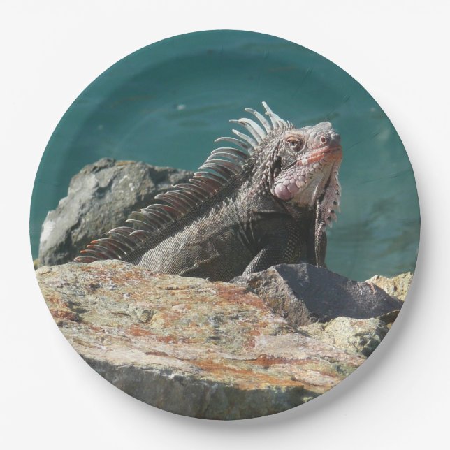 Iguana at St. Thomas Paper Plates (Front)
