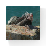 Iguana at St. Thomas Paperweight