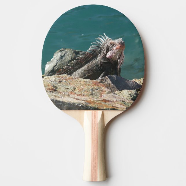 Iguana at St. Thomas Ping-Pong Paddle (Front)